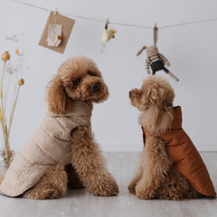 Piumino Classico per Barboncino e Cani di Taglia Media-Piccola | Eleganza e funzionalità