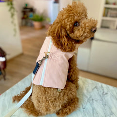 Pettorina impermeabile "Color" per barboncini | Abbigliamento per Cani Fatto a Mano