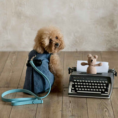 Cobalt & Tartan Coat