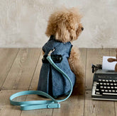 Cobalt & Tartan Coat