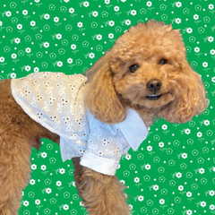 Camicia di cotone sangallo