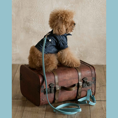 Pettorina Siena in pelle Celeste - Eleganza Artigianale Made in Italy