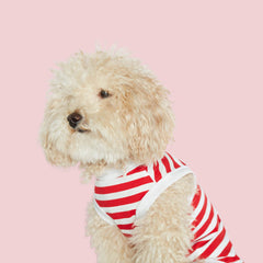 Canottiera - bianca e rossa