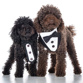 Cravattino per cerimonia