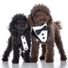 Cravattino per cerimonia