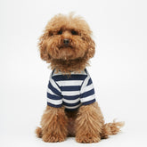 Tshirt Hellis - bianca e blu