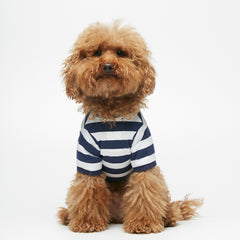 Tshirt Hellis - bianca e blu