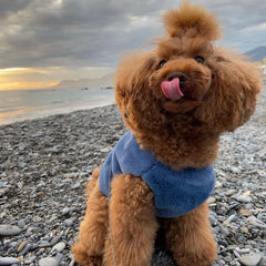 Faux fur harness - smooth