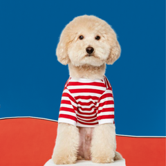 Tshirt a righe - bianca e rossa