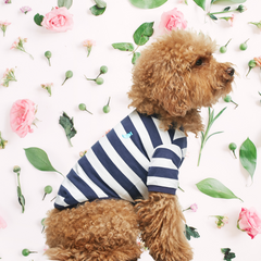 Tshirt Hellis - bianca e blu