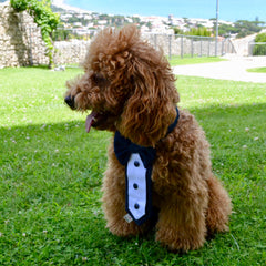 Cravattino per cerimonia