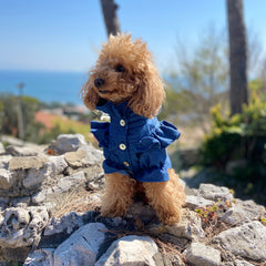 Camicetta stile impero