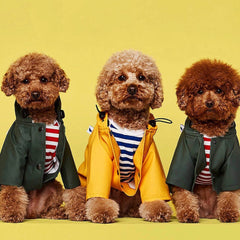 Impermeabile "Copenhagen" per Cani | Abbigliamento per Barboncini e Cani di Taglia Medio-Piccola