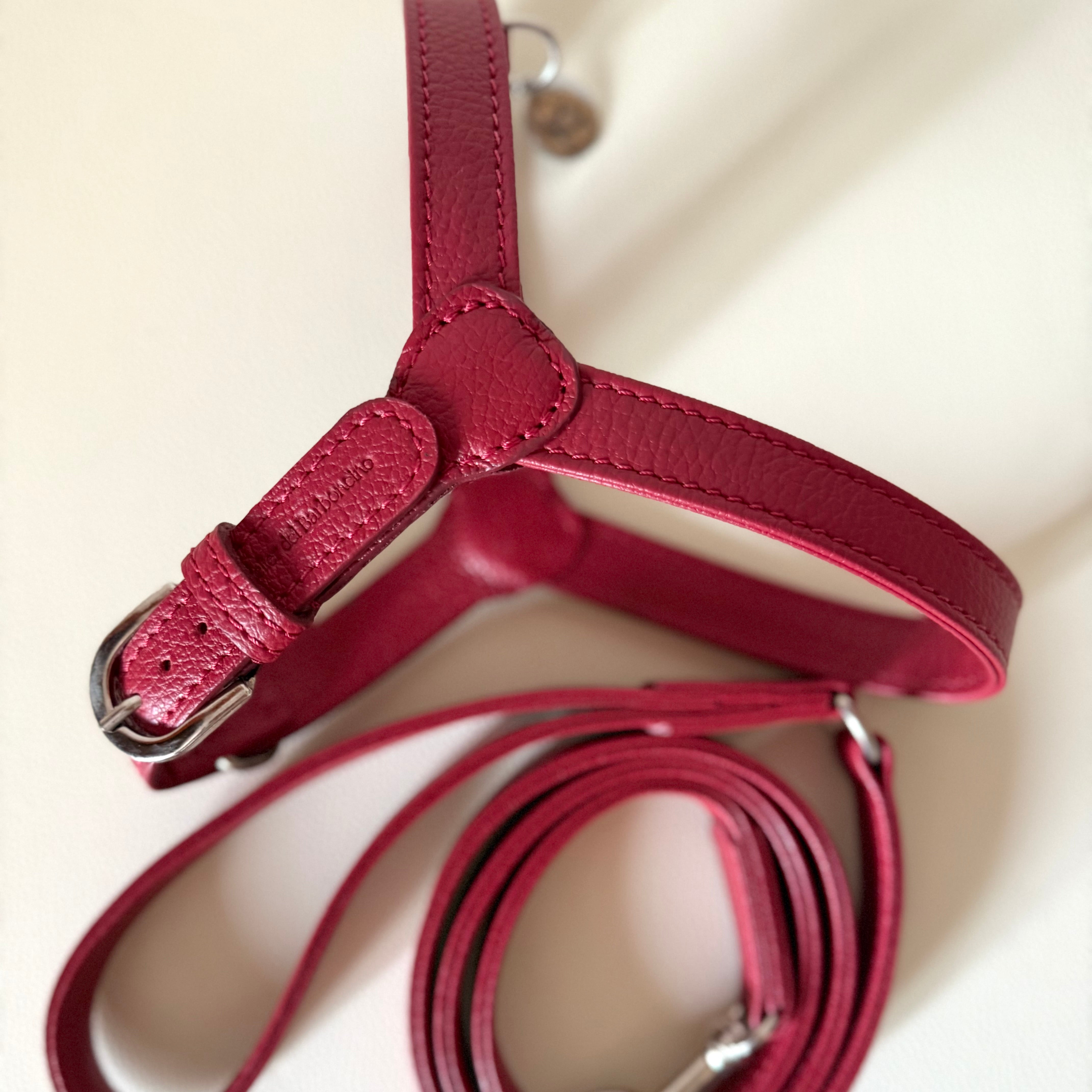 Combo Pettorina e Guinzaglio "Chianti" in pelle | Artigianato Italiano per Barboncino