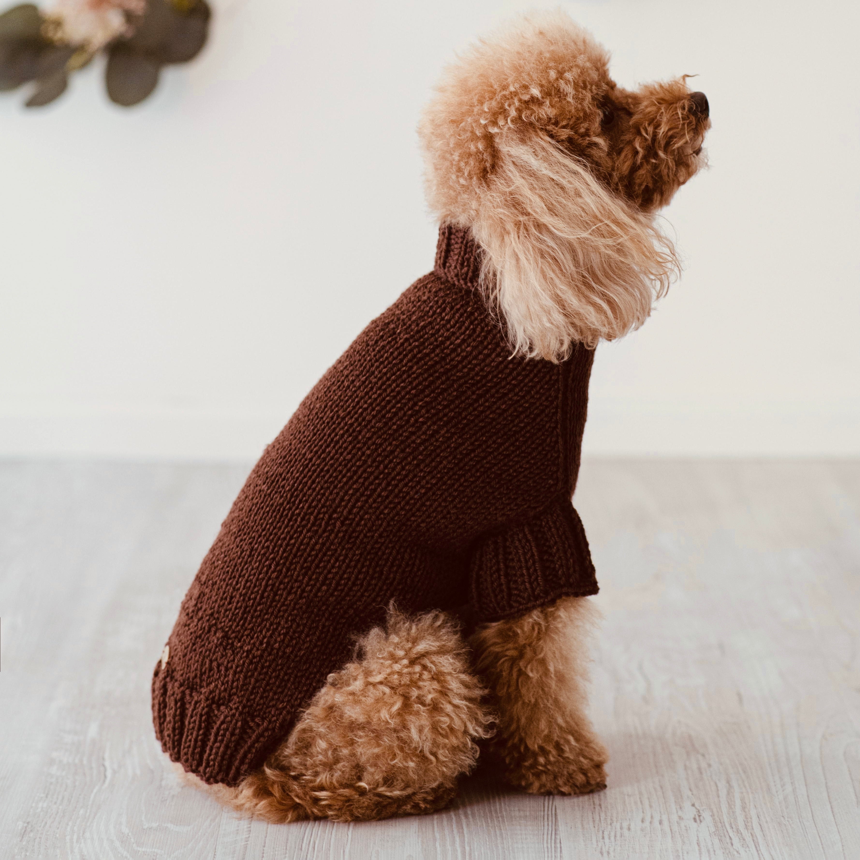 Maglioncino "Dafne" in vari colori - Fatto a Mano in Lana Merino - per cani di piccola taglia