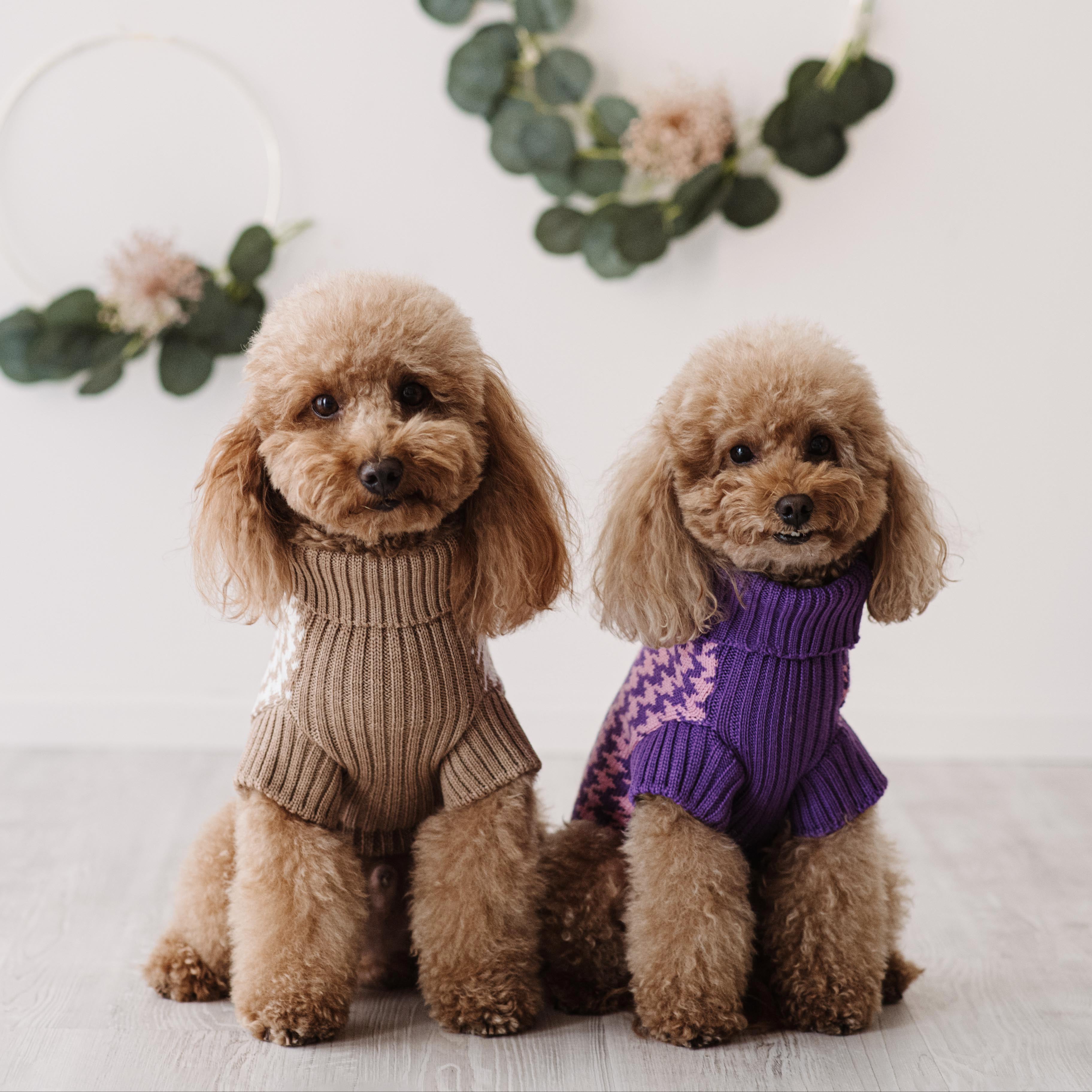 Maglioncino "Coco" | Rosa, Grigio, Cammello, Viola | Pied de Poule  in Lana Merino - per cani di piccola taglia