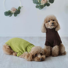 Maglioncino "Dafne" in vari colori - Fatto a Mano in Lana Merino - per cani di piccola taglia