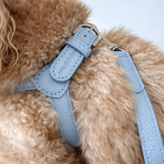 Combo Pettorina e Guinzaglio "Chianti" in pelle | Artigianato Italiano per Barboncino