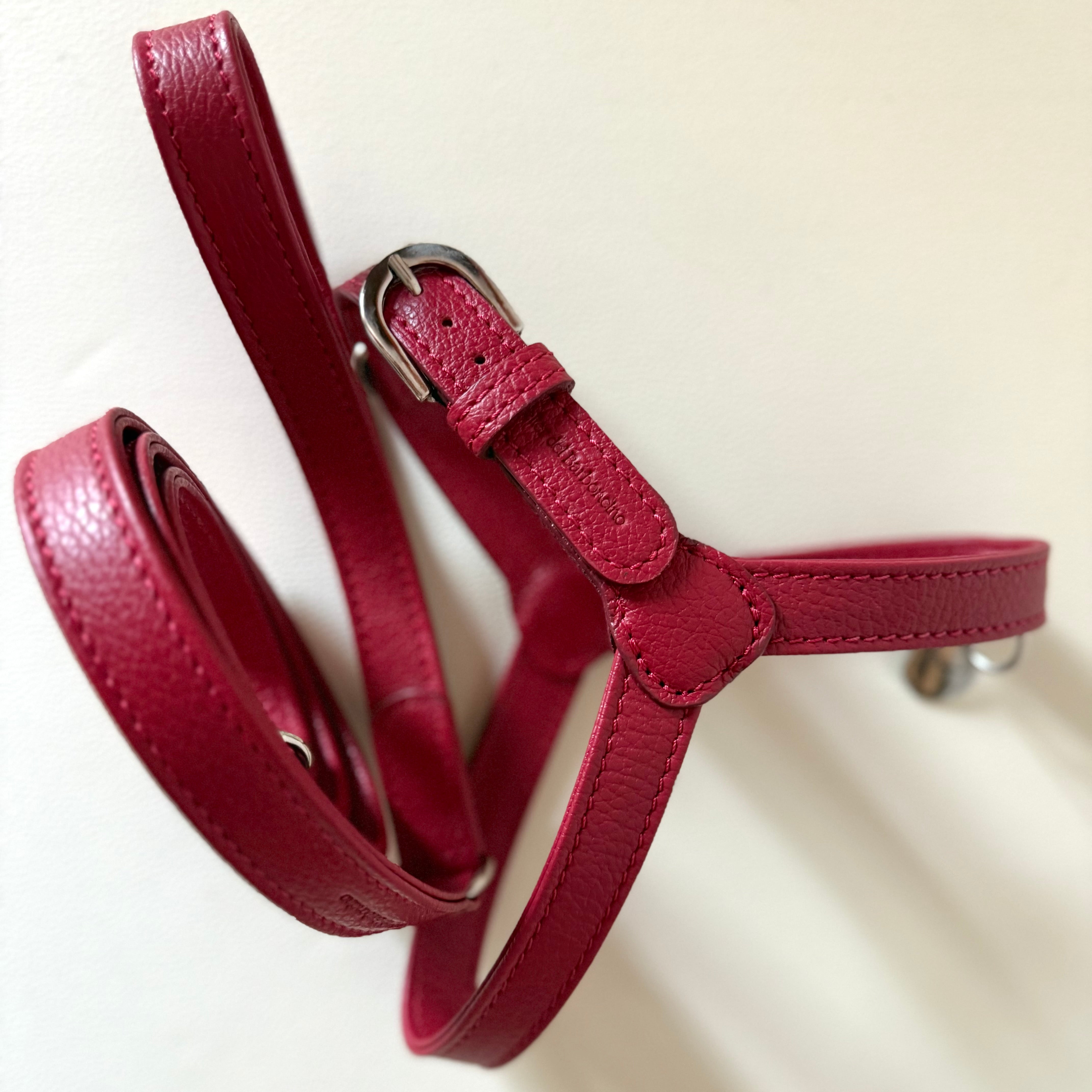 Combo Pettorina e Guinzaglio "Chianti" in pelle | Artigianato Italiano per Barboncino