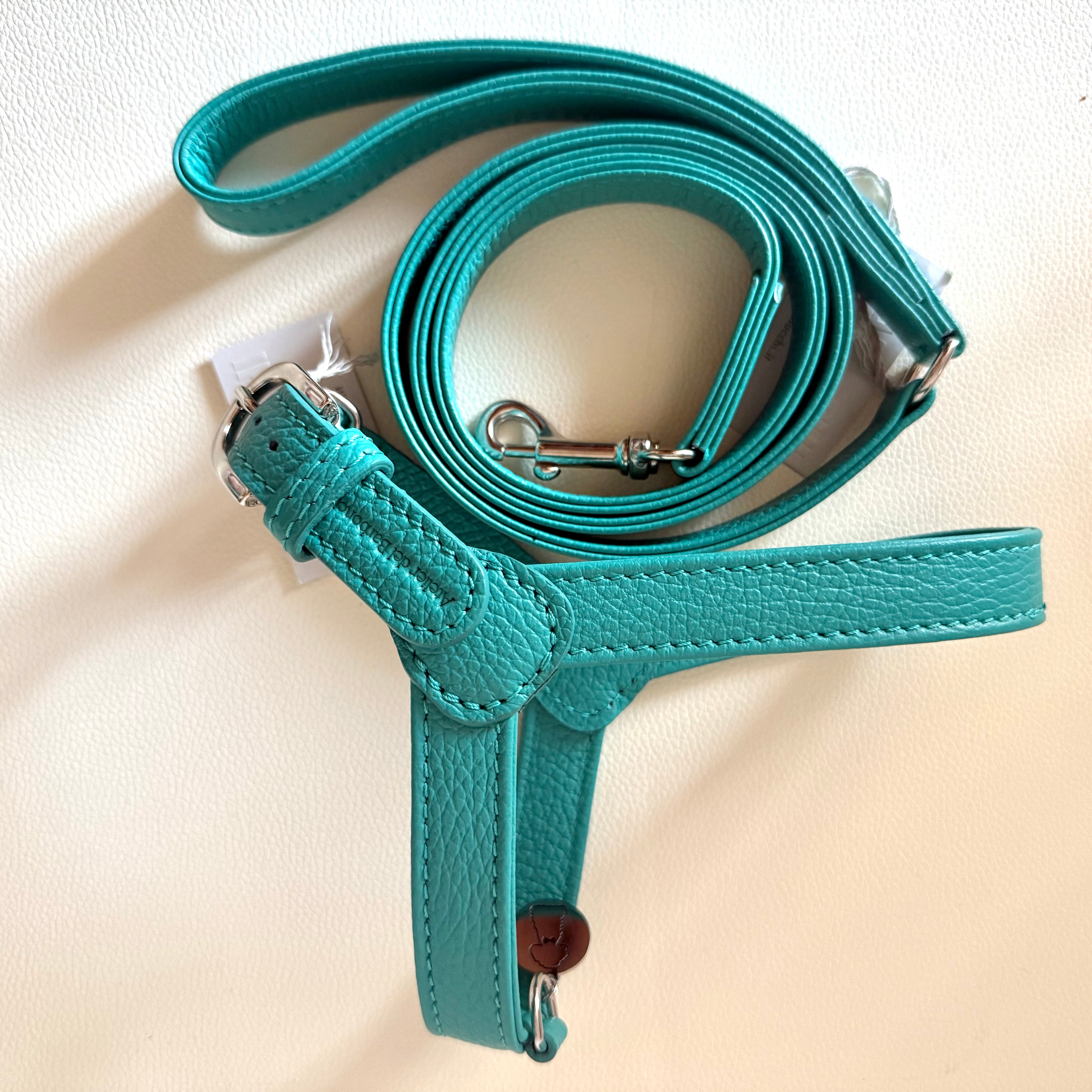 Combo Pettorina e Guinzaglio "Chianti" in pelle | Artigianato Italiano per Barboncino