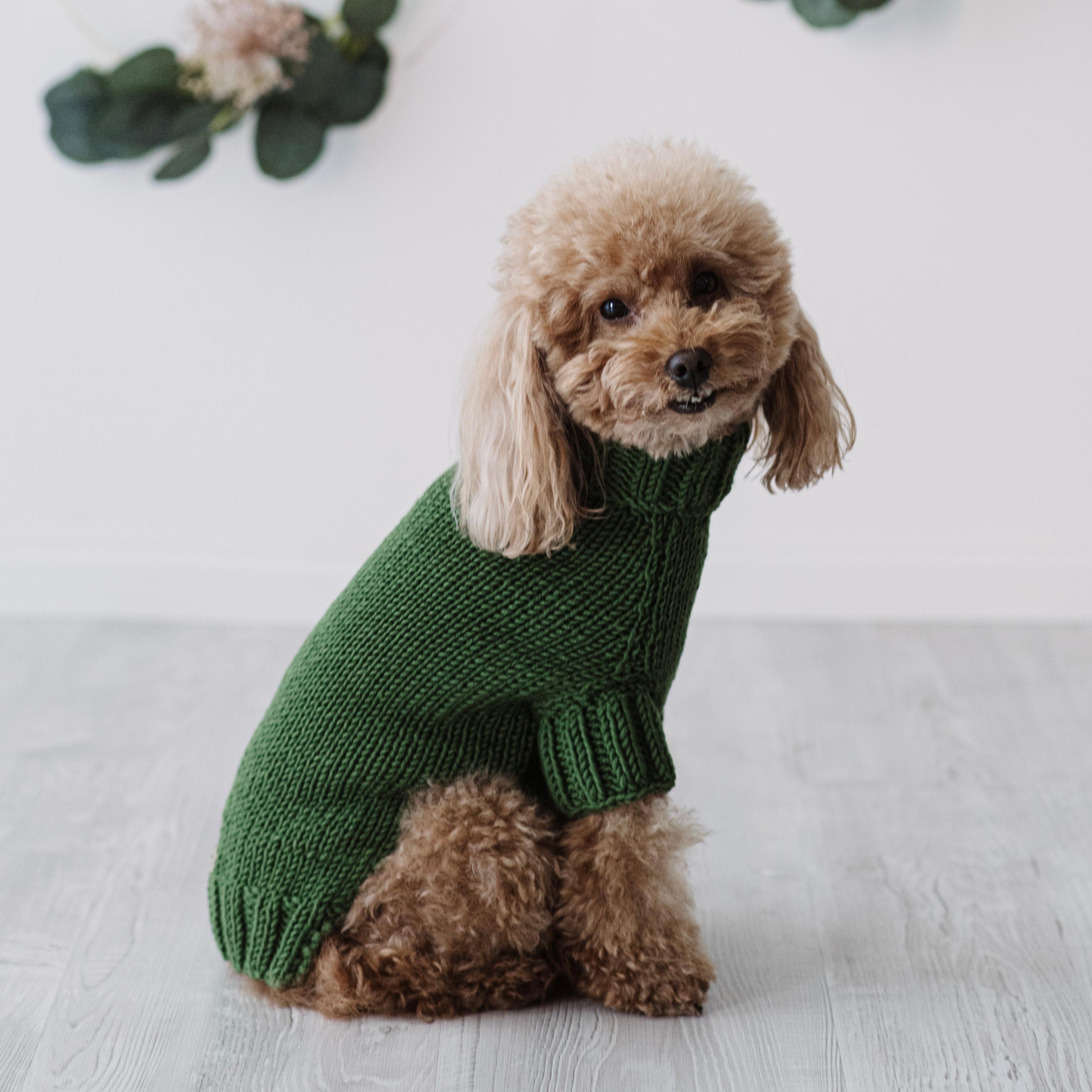 Maglioncino "Dafne" in vari colori - Fatto a Mano in Lana Merino - per cani di piccola taglia