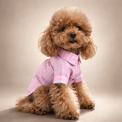 Camicia  Amalfi Rosa | Abbigliamento per Barboncini