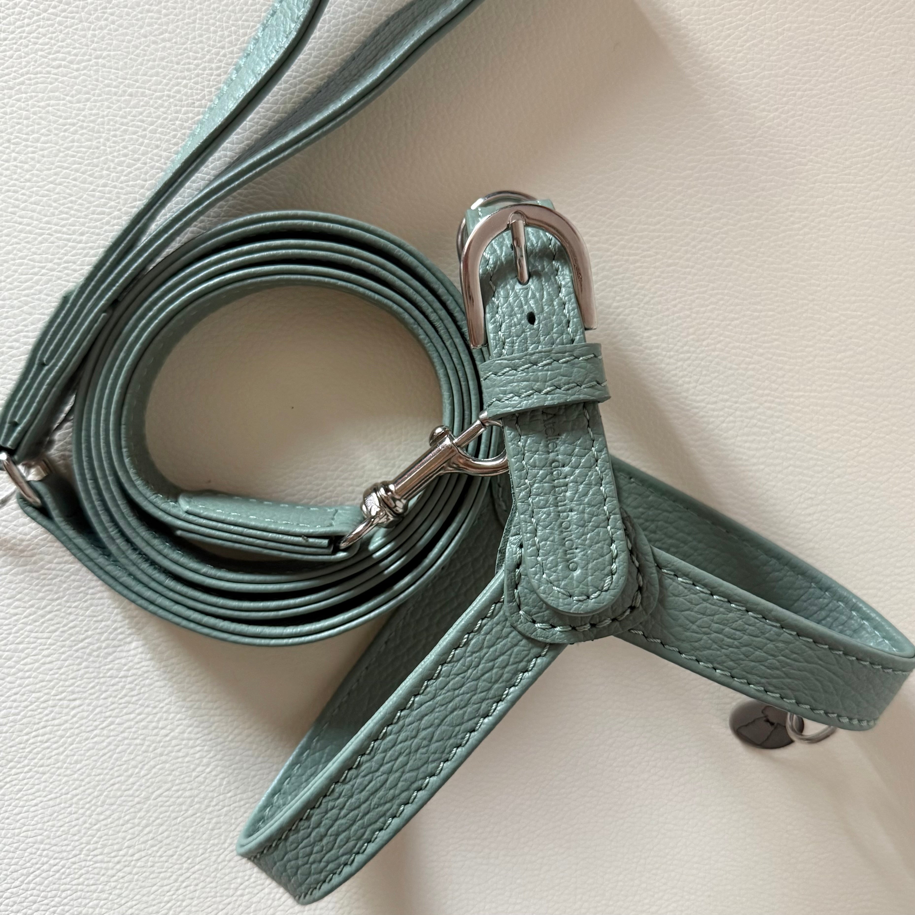 Combo Pettorina e Guinzaglio "Chianti" in pelle | Artigianato Italiano per Barboncino