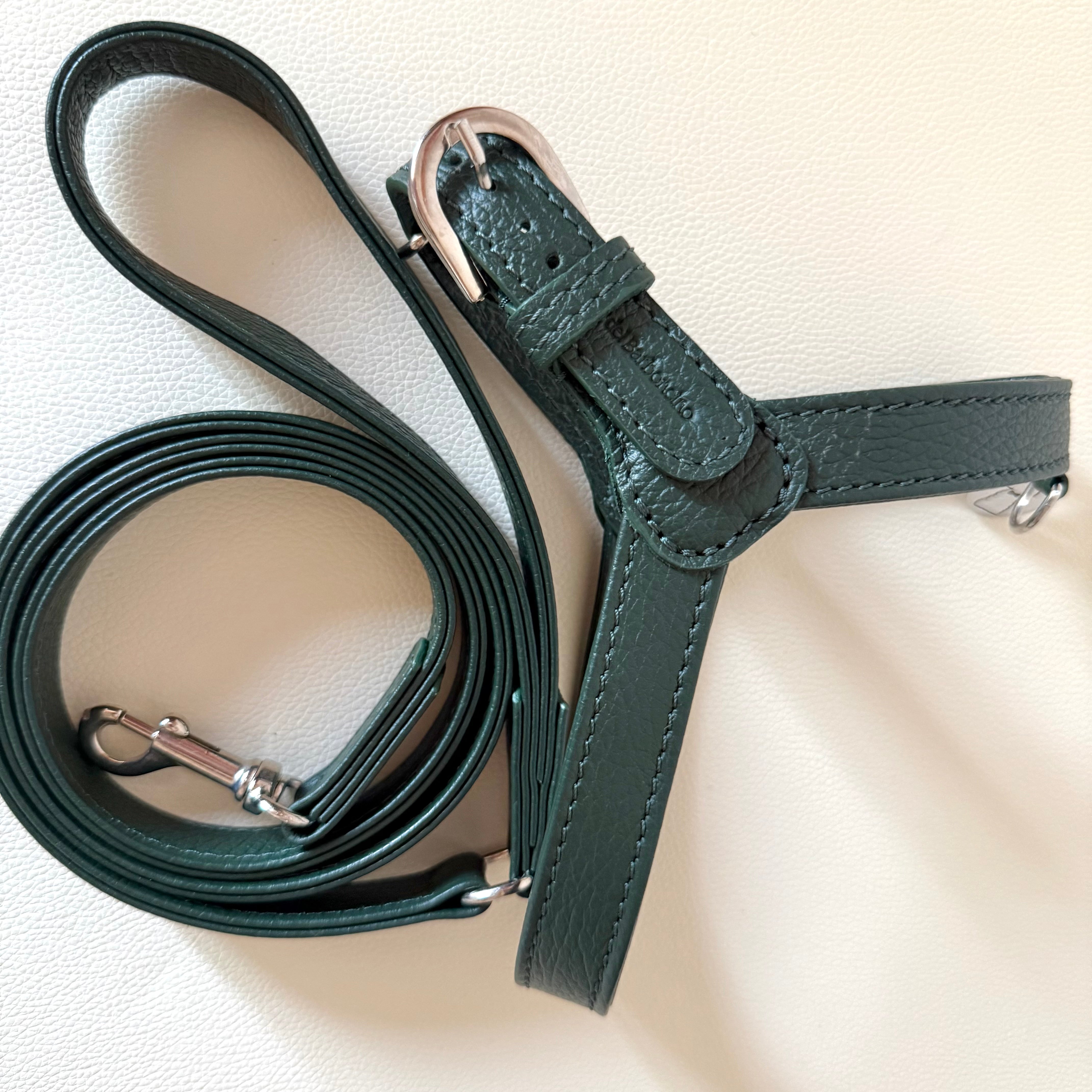 Combo Pettorina e Guinzaglio "Chianti" in pelle | Artigianato Italiano per Barboncino