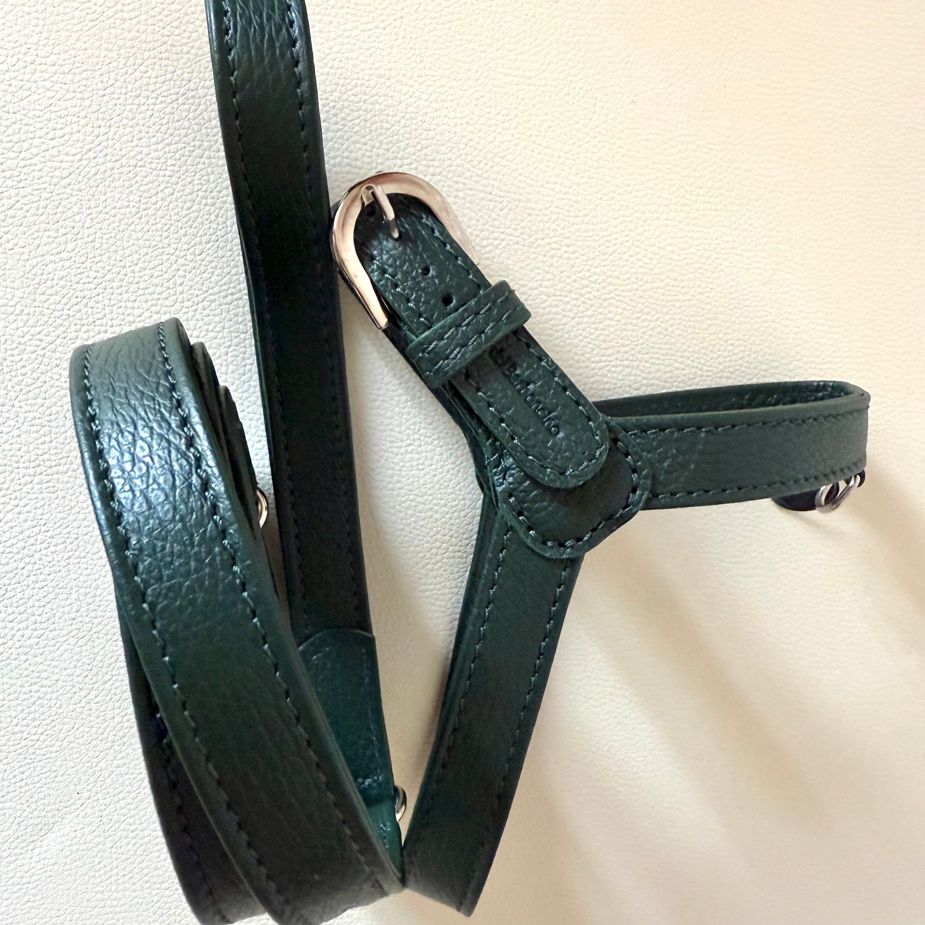 Combo Pettorina e Guinzaglio "Chianti" in pelle | Artigianato Italiano per Barboncino