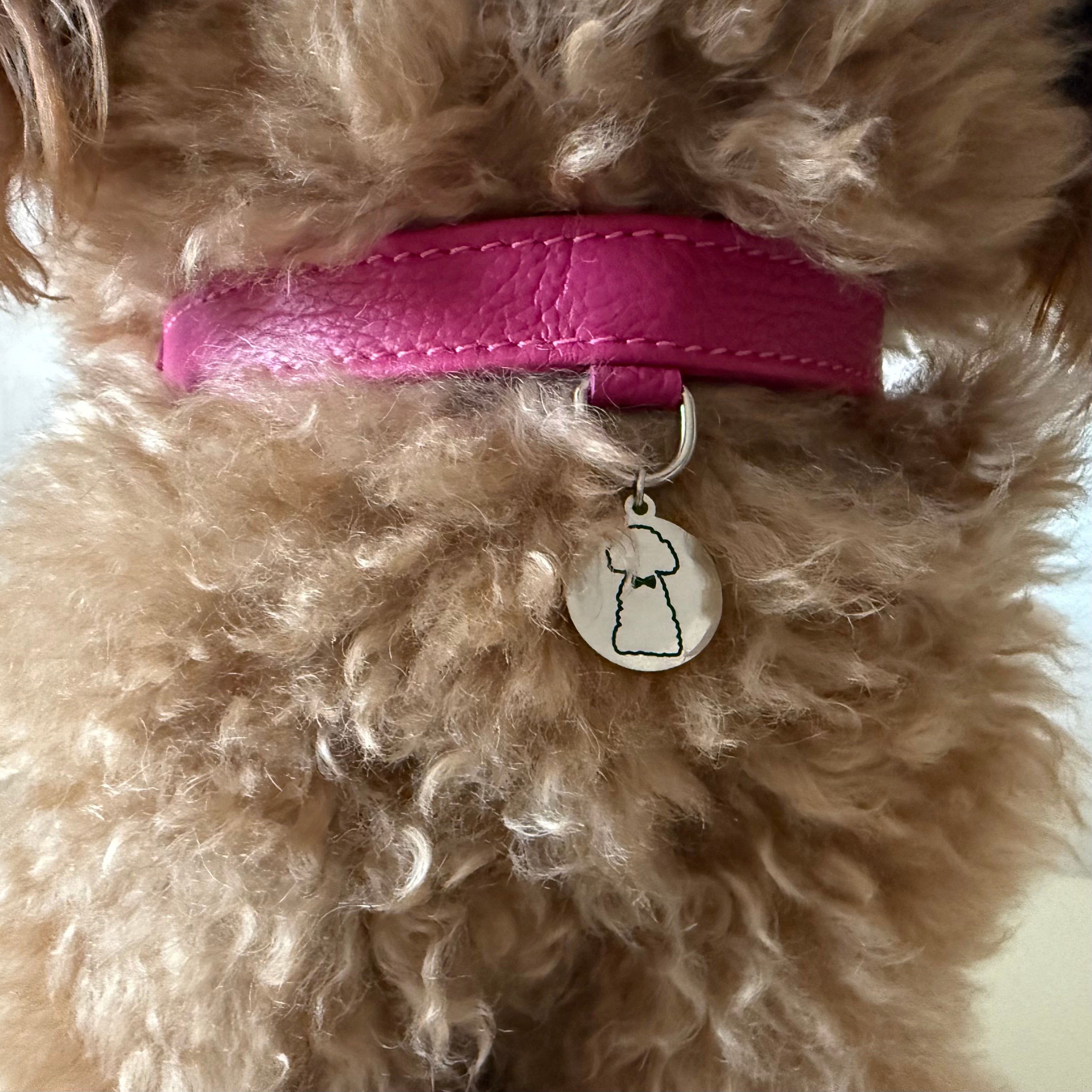 Combo Pettorina e Guinzaglio "Chianti" in pelle | Artigianato Italiano per Barboncino