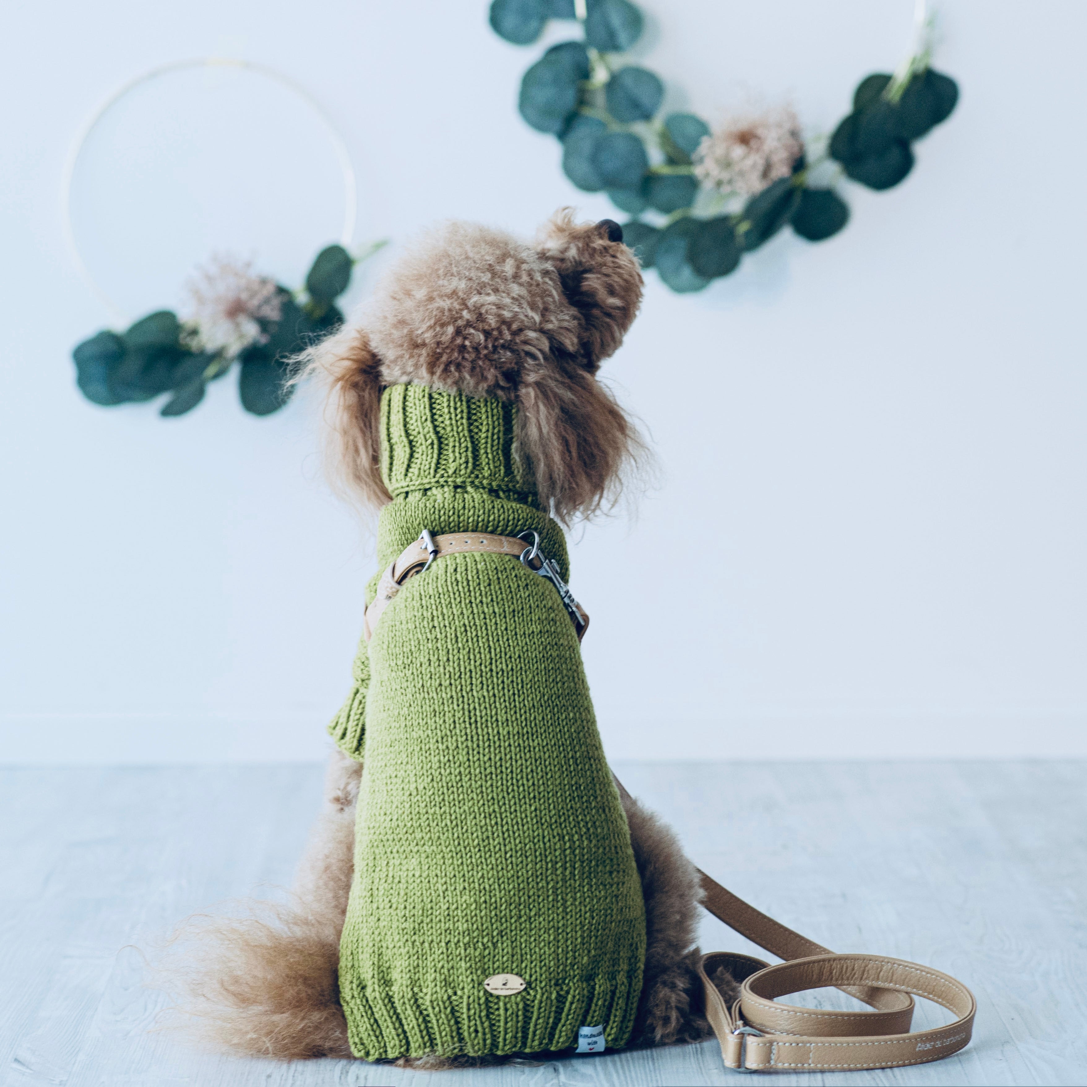 Maglioncino "Dafne" in vari colori - Fatto a Mano in Lana Merino - per cani di piccola taglia