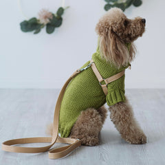 Maglioncino "Dafne" in vari colori - Fatto a Mano in Lana Merino - per cani di piccola taglia