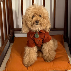 Camicia di Velluto | Eleganza e Confort per Barboncini