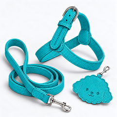 Kit Pettorina e Guinzaglio in pelle + Porta Sacchetti
