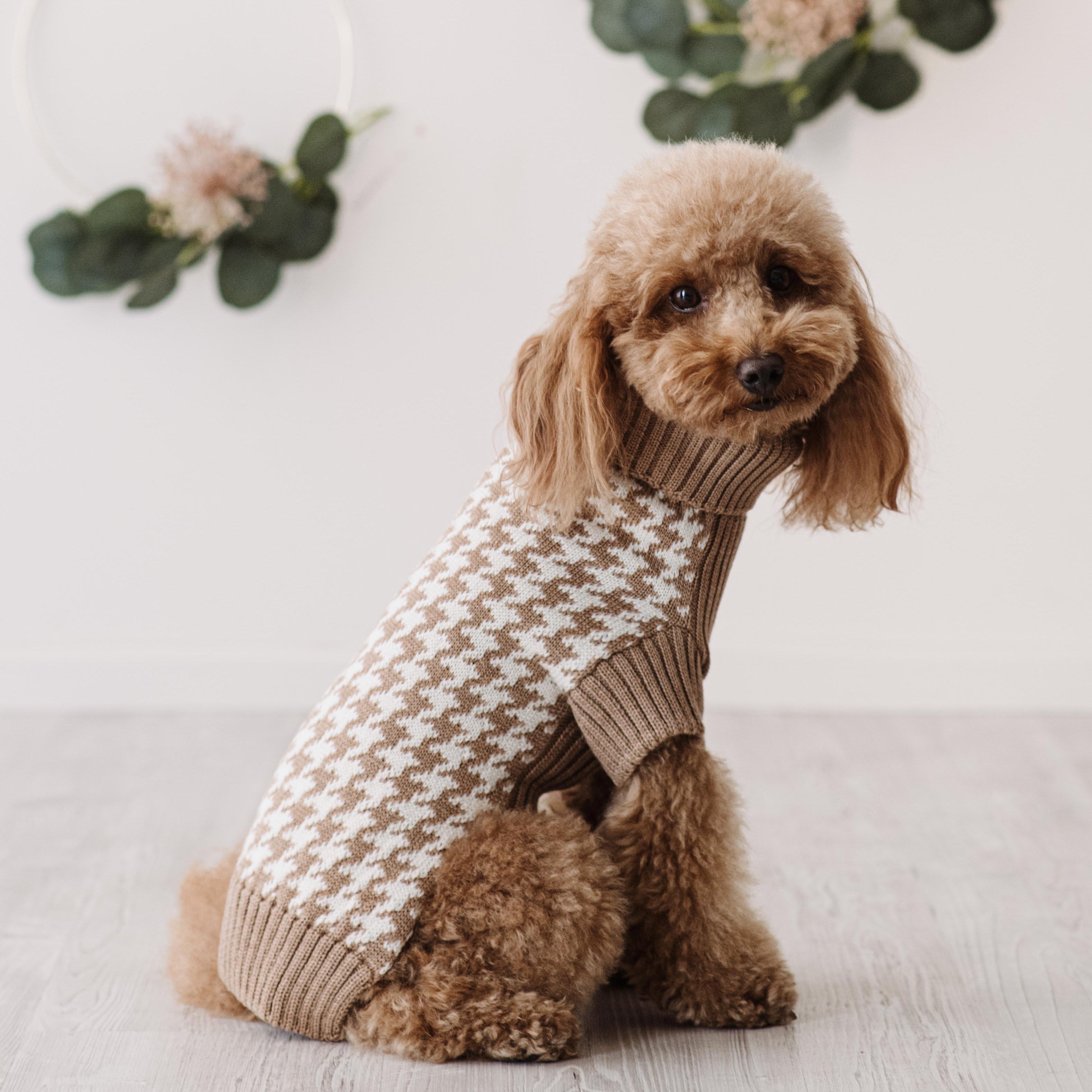 Maglioncino "Coco" | Rosa, Grigio, Cammello, Viola | Pied de Poule  in Lana Merino - per cani di piccola taglia