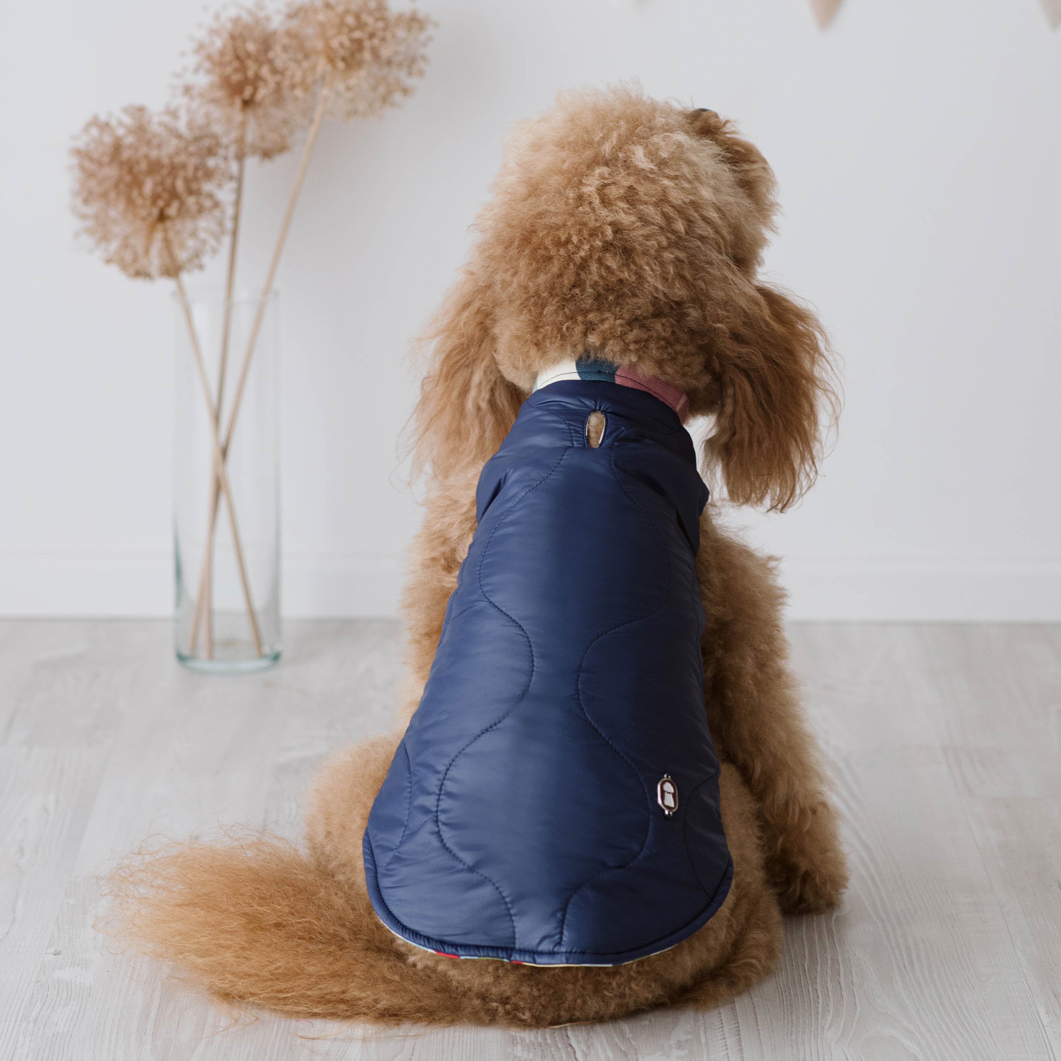 Piumino Royal Navy | Eleganza Classica per Barboncini