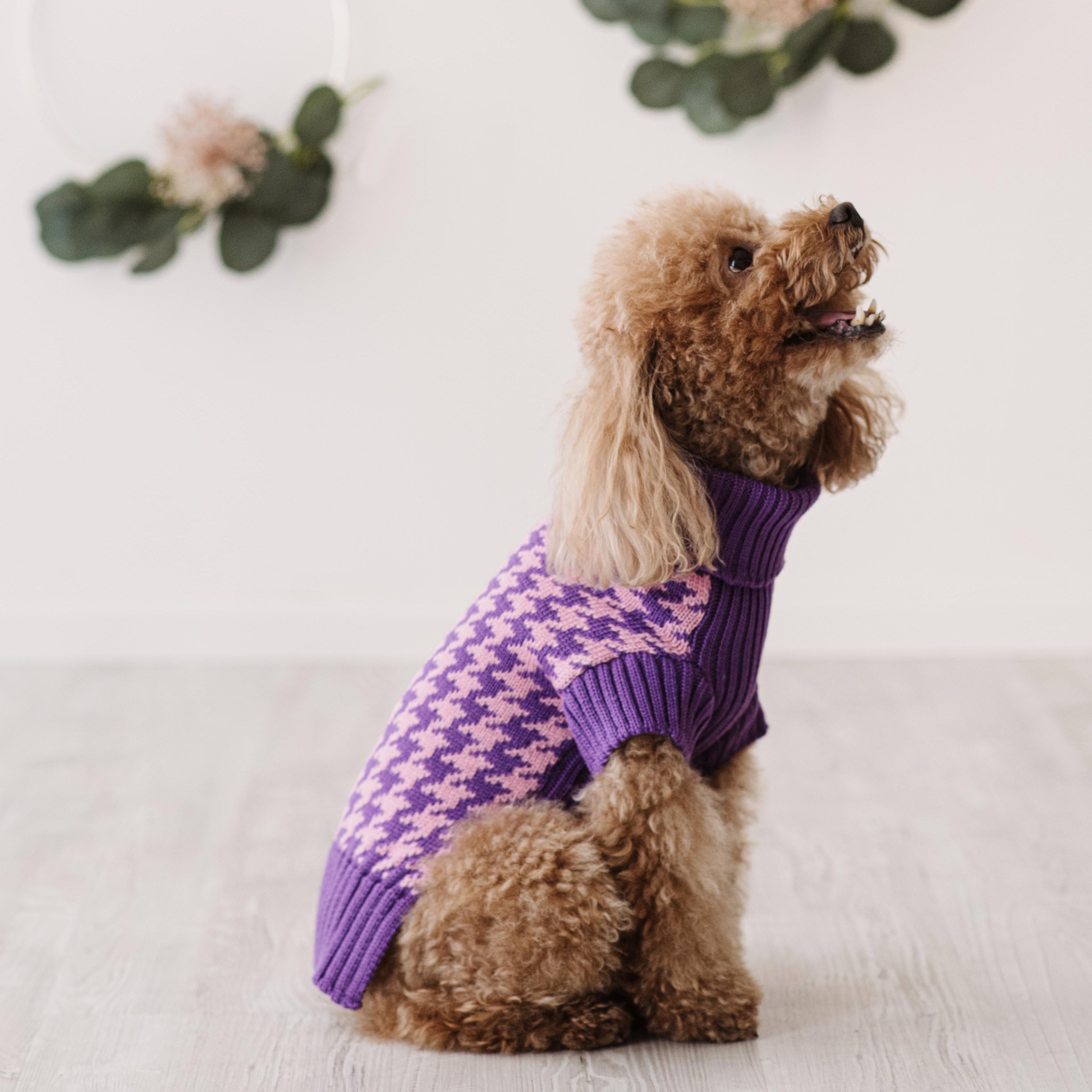 Maglioncino "Coco" | Rosa, Grigio, Cammello, Viola | Pied de Poule  in Lana Merino - per cani di piccola taglia