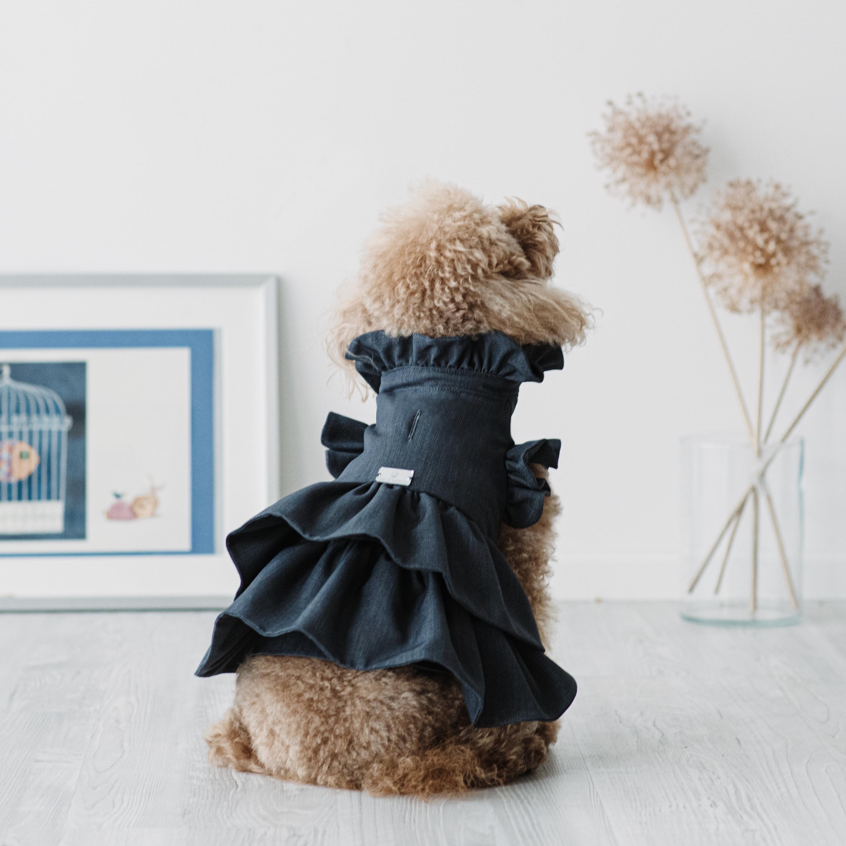 Milano Rouches - Cappottino Sartoriale per Barboncini | Abbigliamento per cani