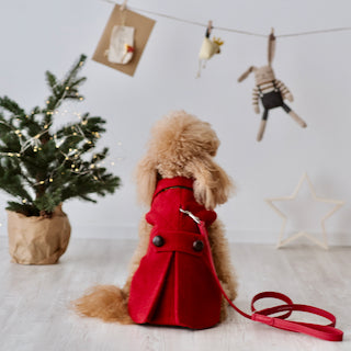 "Gregory" Cappotto Casentino | Eleganza e Confort | Abbigliamento per Barboncini