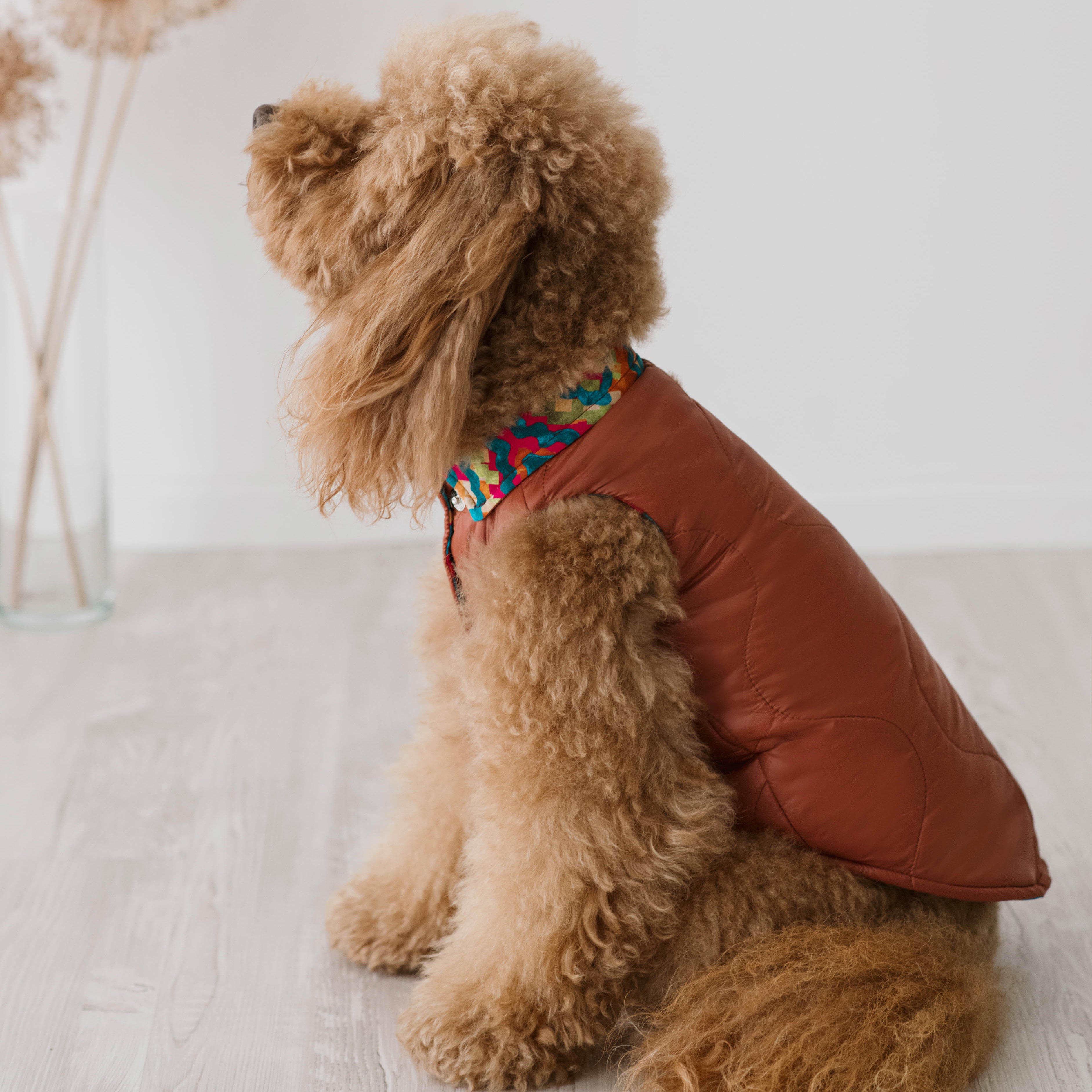 Piumino Hampstead Caramel | Sartorialità Classica per Barboncini