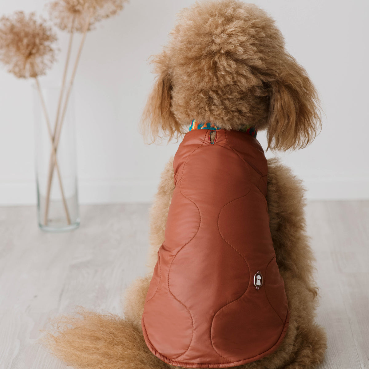 Piumino Hampstead Caramel | Sartorialità Classica per Barboncini