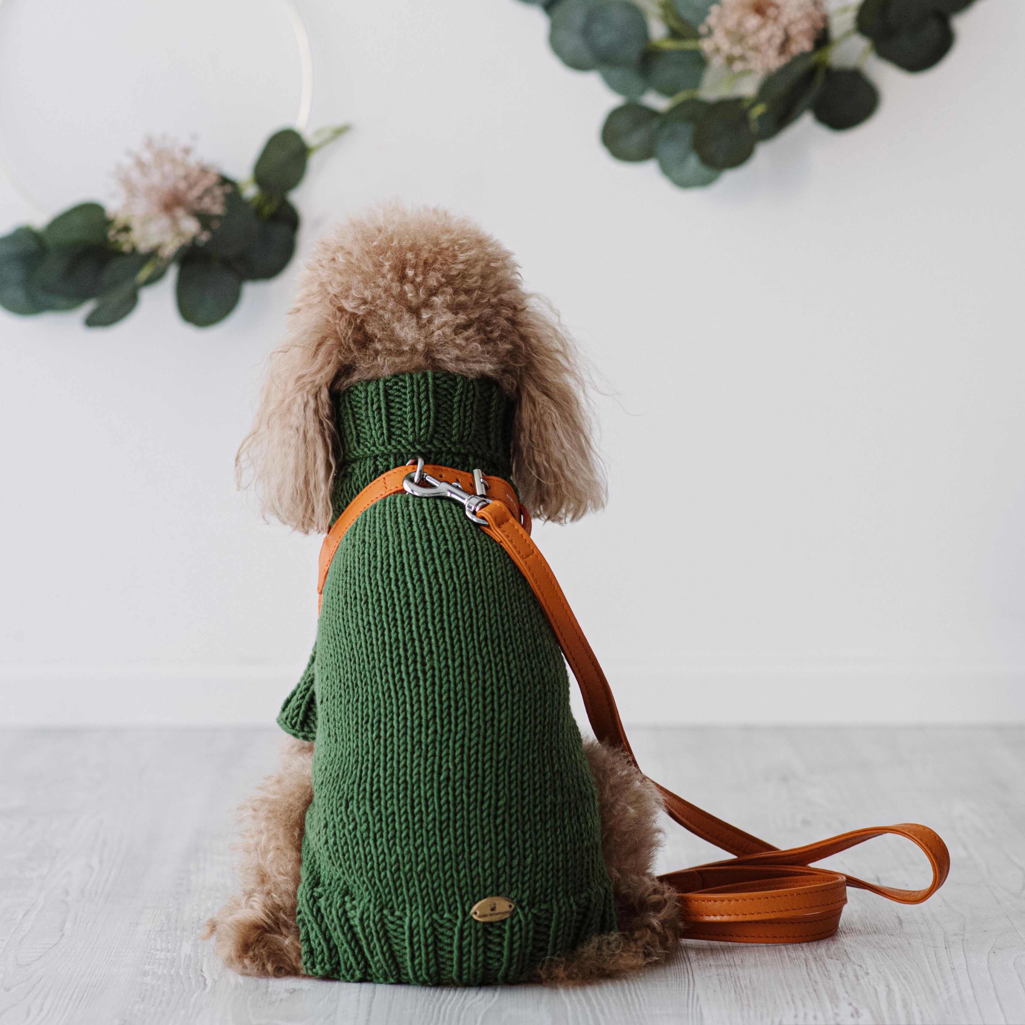 Maglioncino "Dafne" in vari colori - Fatto a Mano in Lana Merino - per cani di piccola taglia