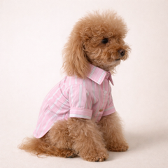 Camicia  Amalfi Rosa | Abbigliamento per Barboncini