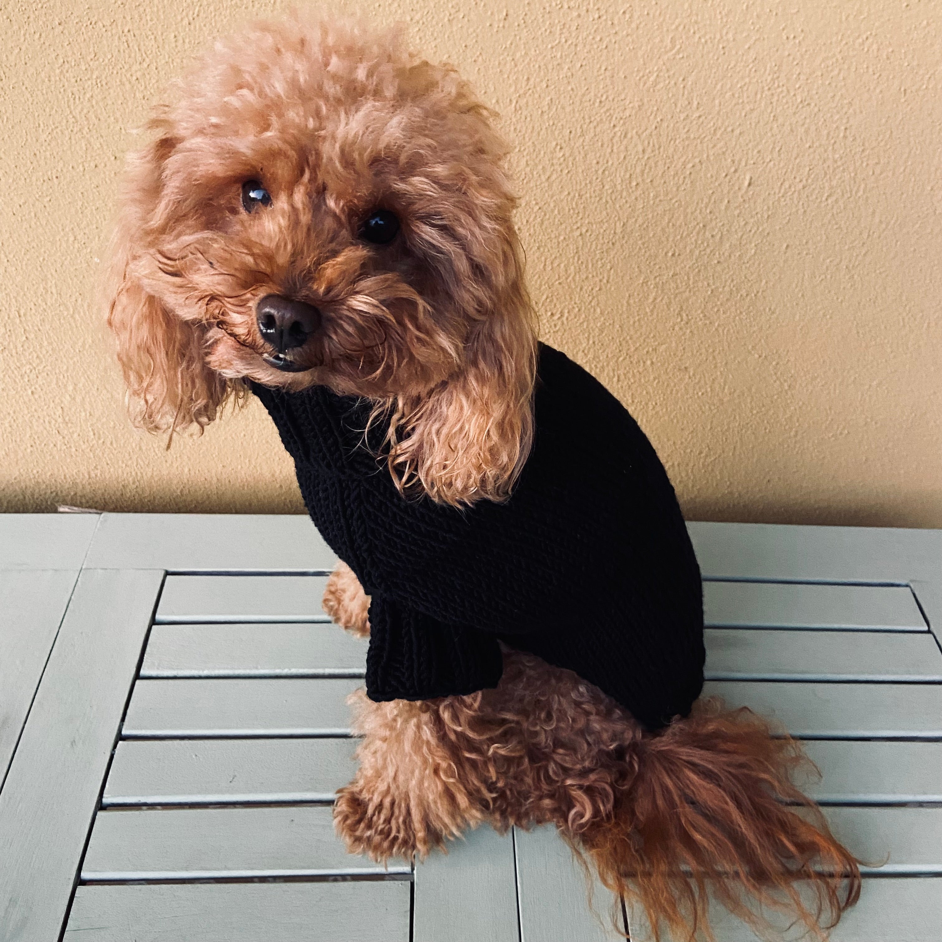 Maglioncino "Dafne" in vari colori - Fatto a Mano in Lana Merino - per cani di piccola taglia