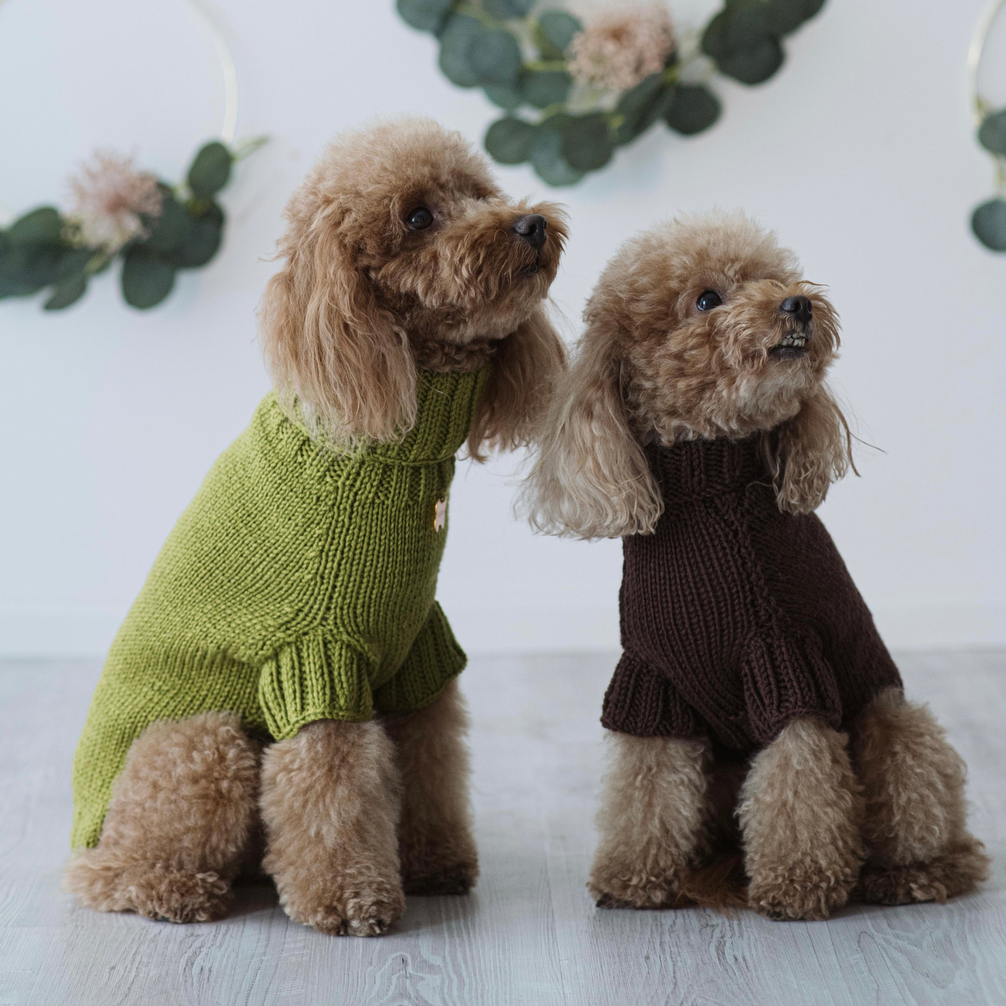 Maglioncino "Dafne" in vari colori - Fatto a Mano in Lana Merino - per cani di piccola taglia