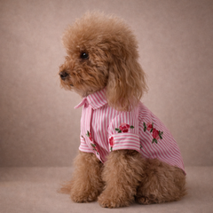 Camicia Positano Rosa | Abbigliamento per Barboncini