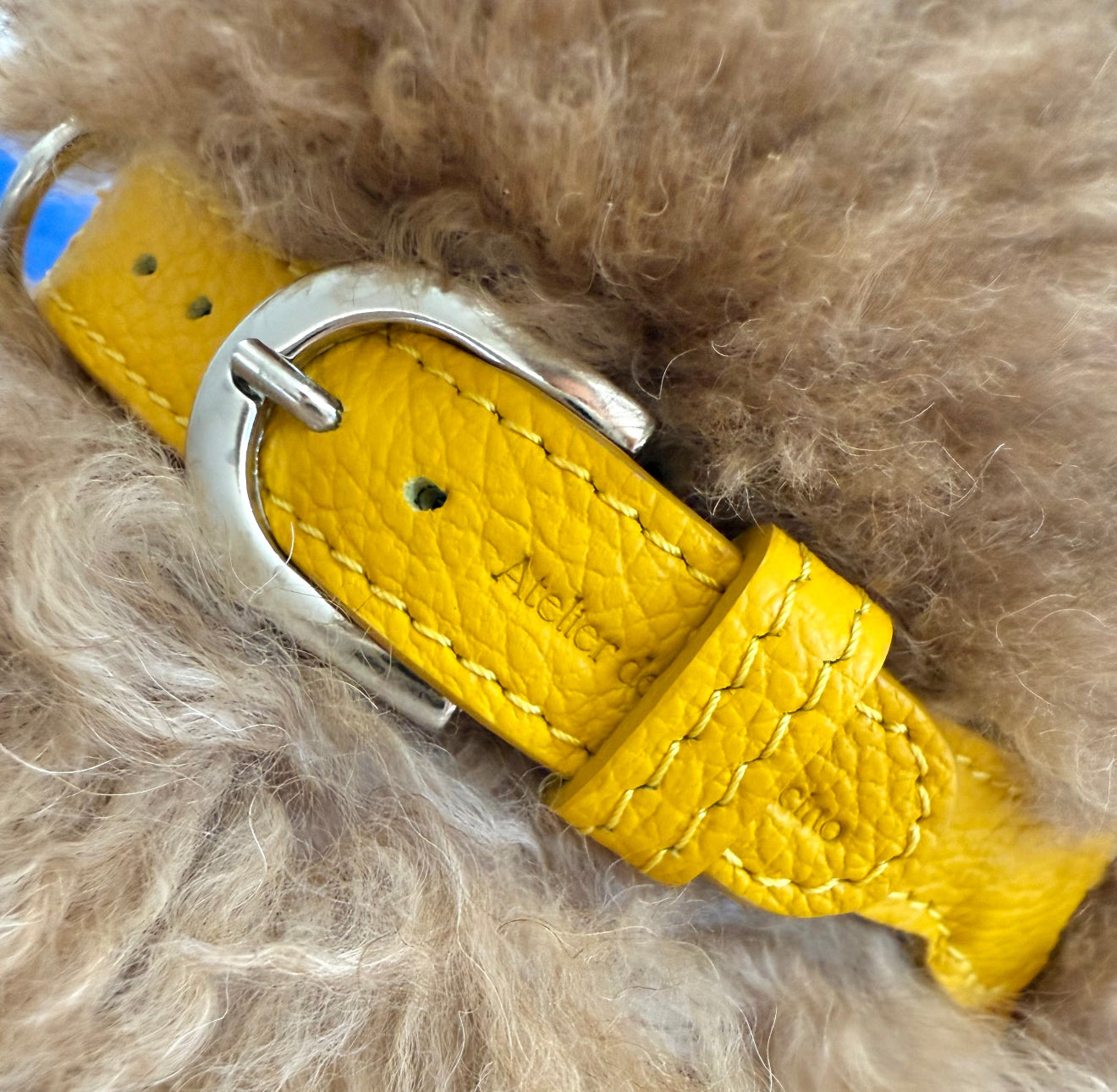 Combo Pettorina e Guinzaglio "Chianti" in pelle | Artigianato Italiano per Barboncino