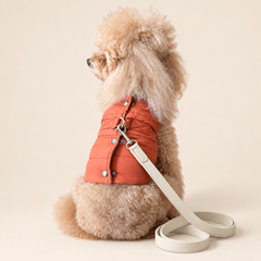 Pettorina Piumino per cani | Eleganza e Confort per Barboncini