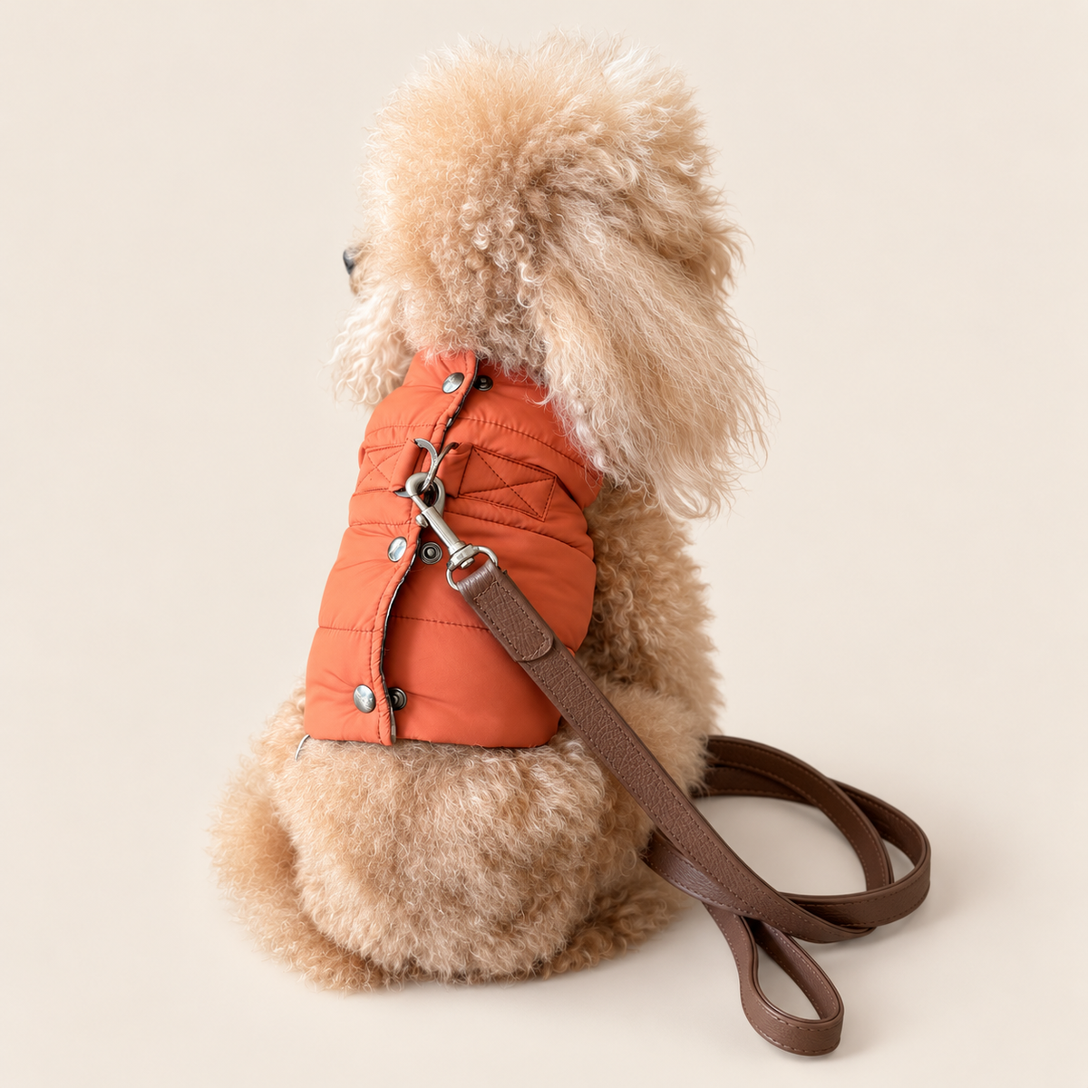 Pettorina Piumino per cani | Eleganza e Confort per Barboncini