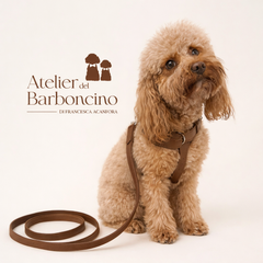 Combo Pettorina e Guinzaglio "Chianti" in pelle | Artigianato Italiano per Barboncino